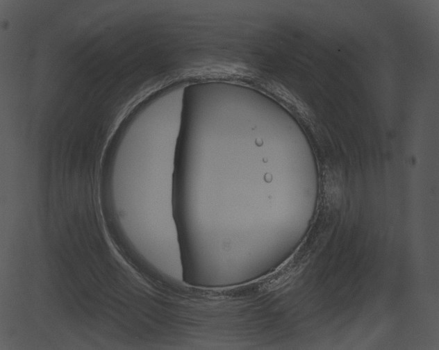 X0000081580582200701151003