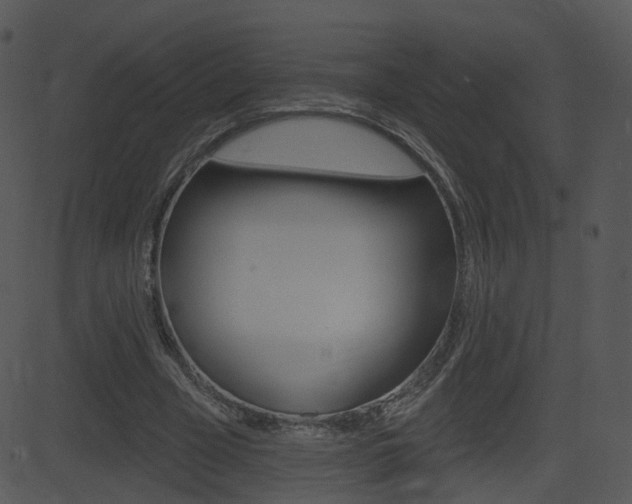 X0000081580585200701151003