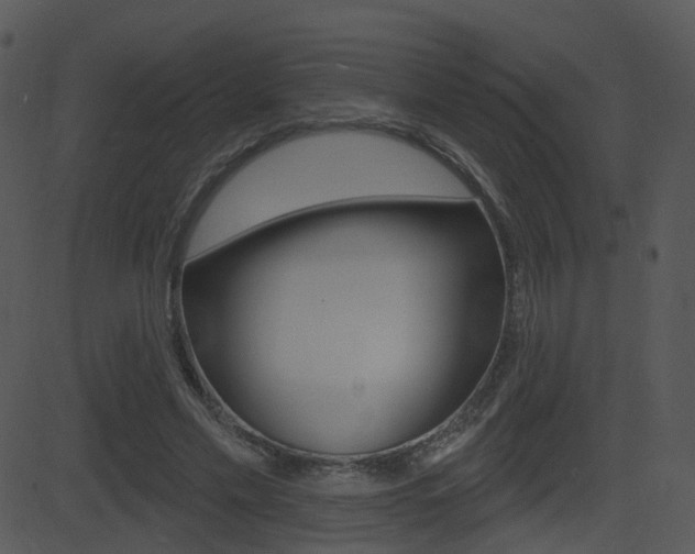 X0000081580589200701151003