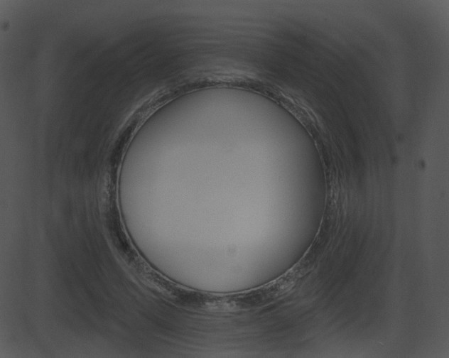 X0000081580591200701151003