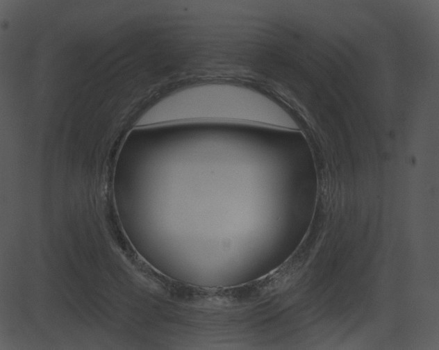 X0000081580593200701151003