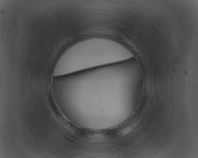 X0000081580594200701151003