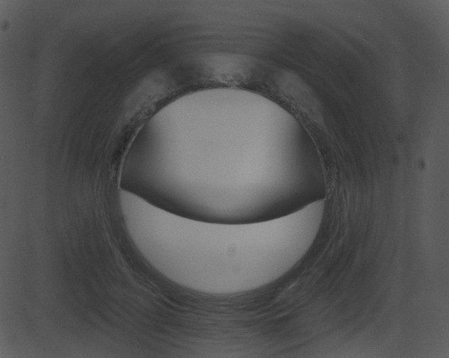 X0000081580595200701151002