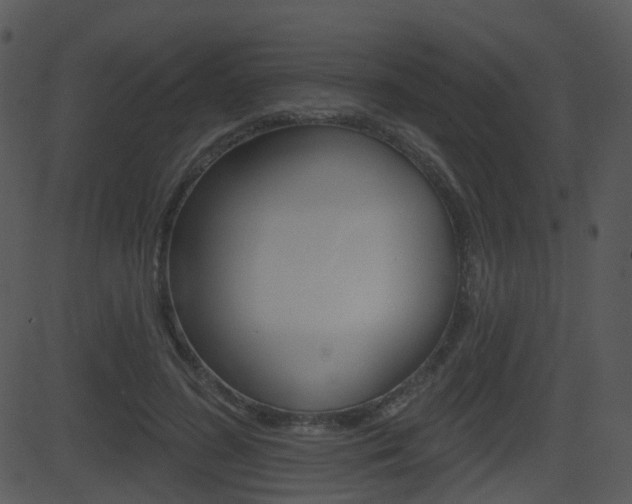 X0000081580596200701151002