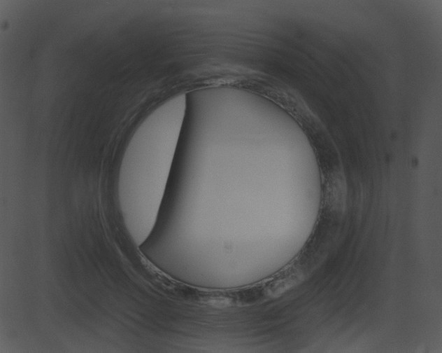 X0000081580598200701151002