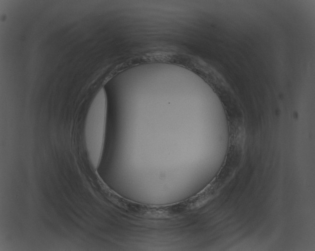 X0000081580599200701151002