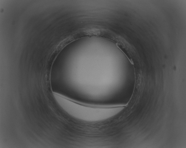 X0000081580600200701151002