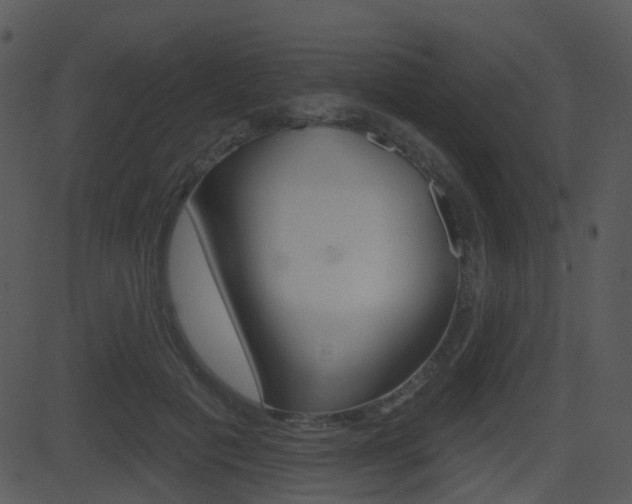 X0000081580601200701151002