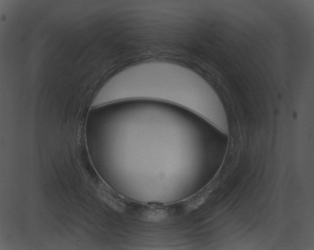 X0000081580604200701151002