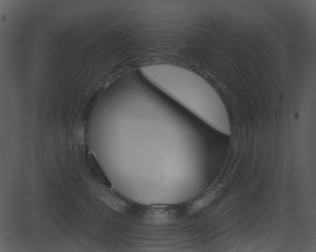 X0000081580613200701151002