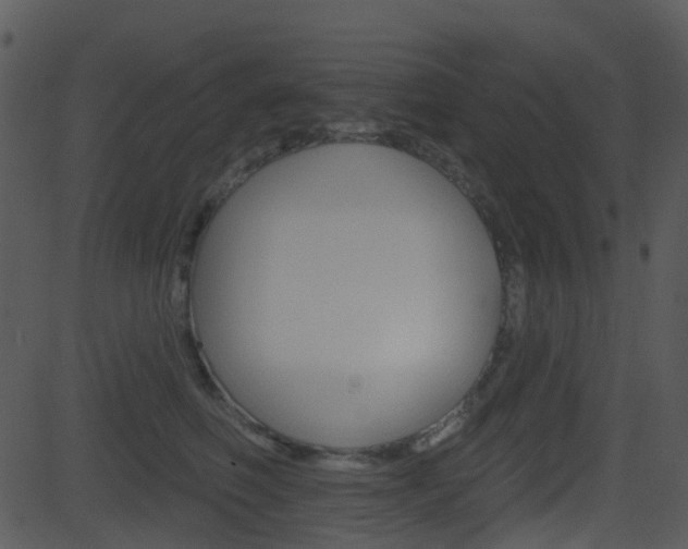 X0000081580614200701151002