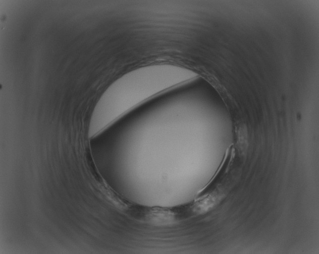 X0000081580617200701151002