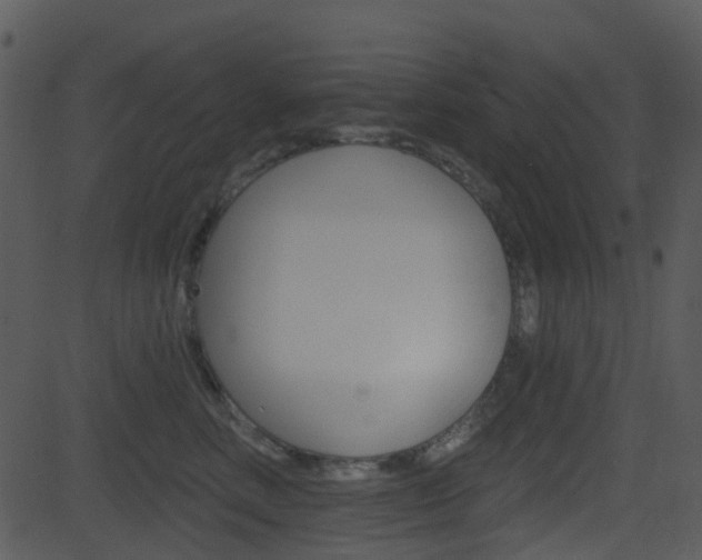 X0000081580618200701151002