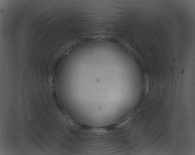 X0000081580619200701151002