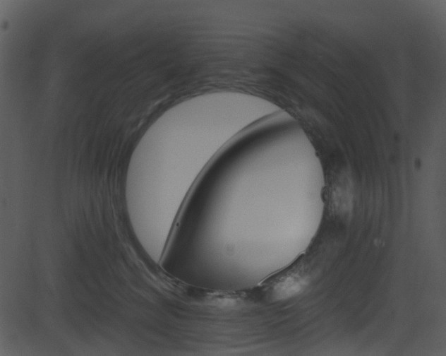 X0000081580620200701151002