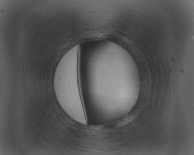 X0000081580624200701151002