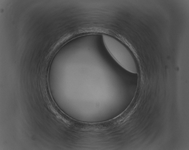 X0000081580625200701151001