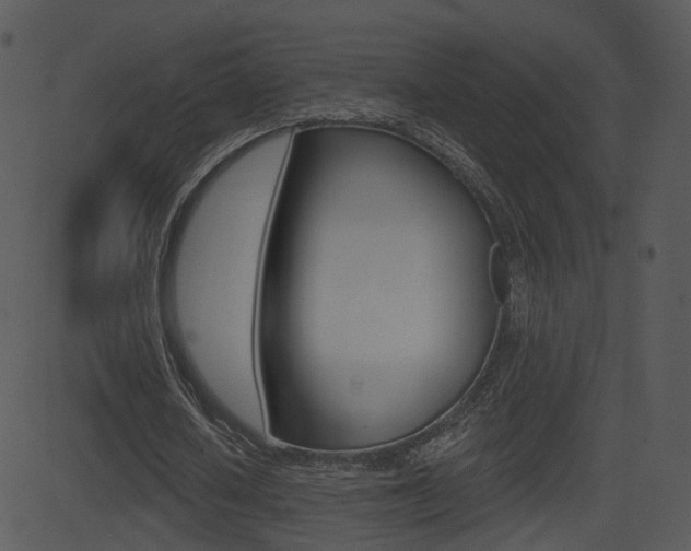 X0000081580626200701151001