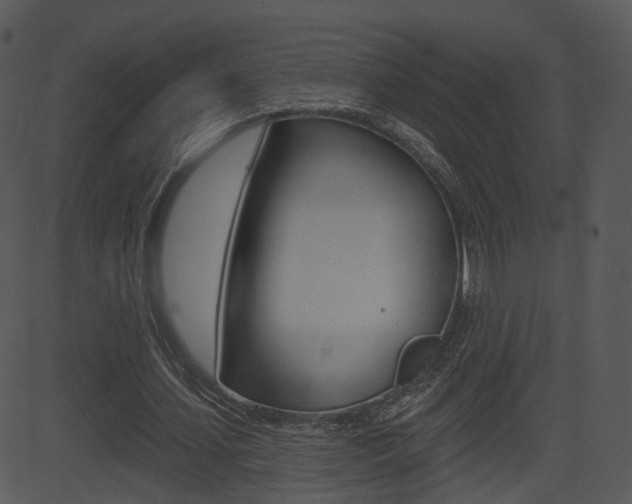 X0000081580627200701151001