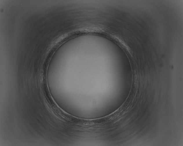 X0000081580631200701151001