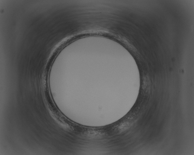 X0000081580632200701151001