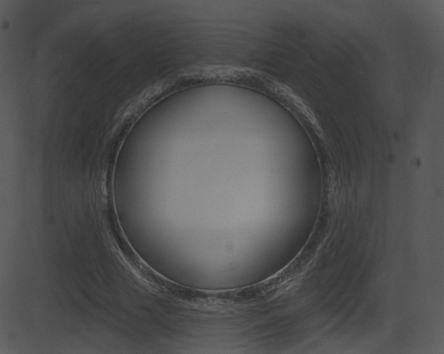 X0000081580633200701151001