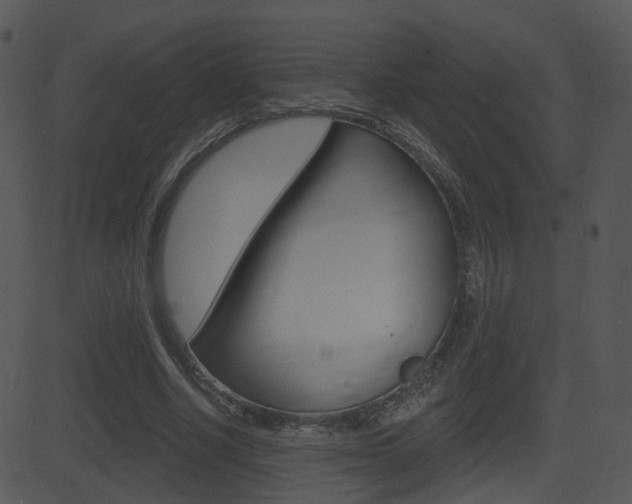 X0000081580634200701151001