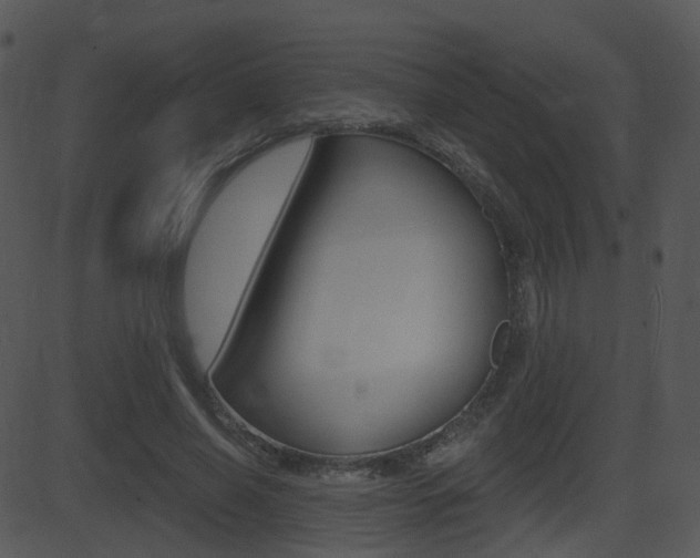 X0000081580638200701151001