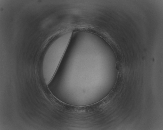 X0000081580640200701151001