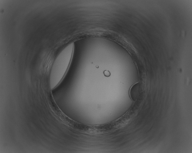 X0000081580641200701151001