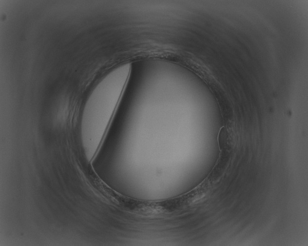 X0000081580642200701151002