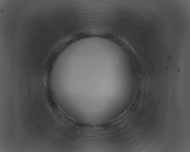 X0000081580643200701151002