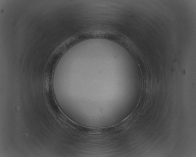 X0000081580644200701151002