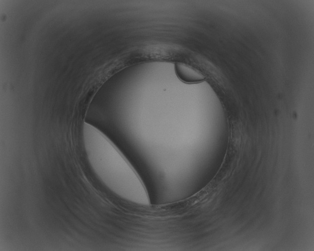 X0000081580645200701151002
