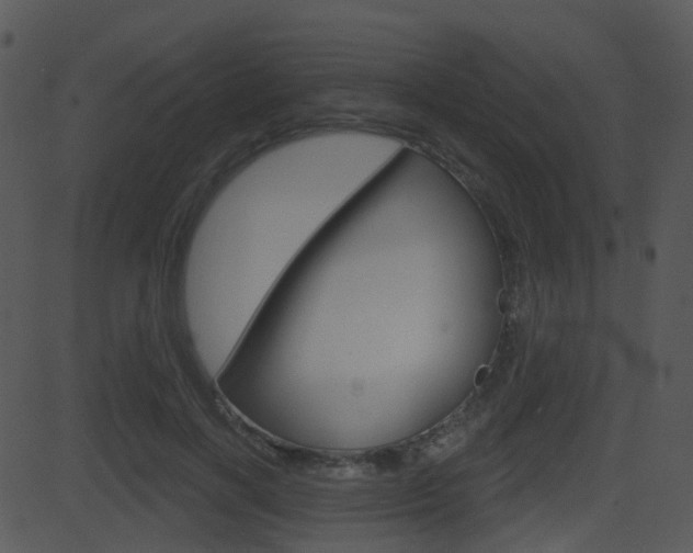 X0000081580646200701151002