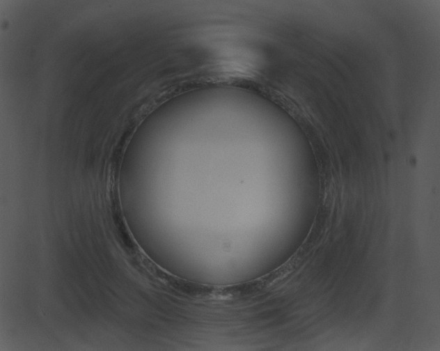 X0000081580647200701151002