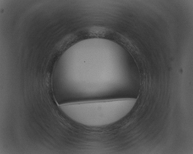 X0000081580649200701151002