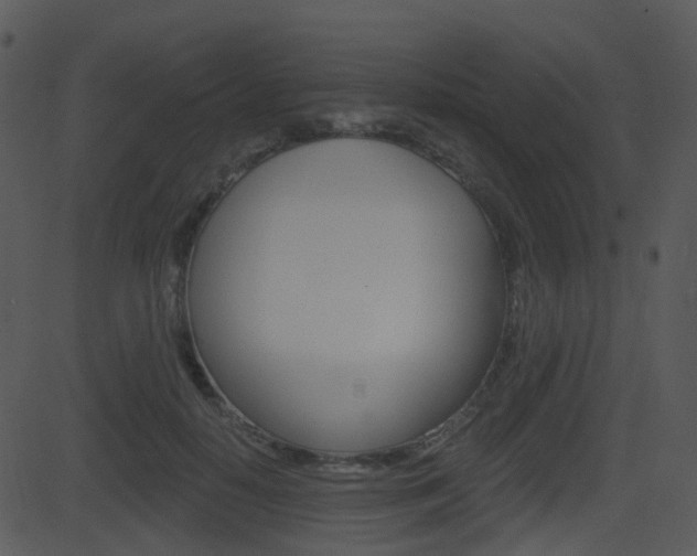 X0000081580650200701151002