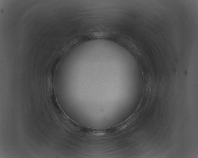 X0000081580651200701151002