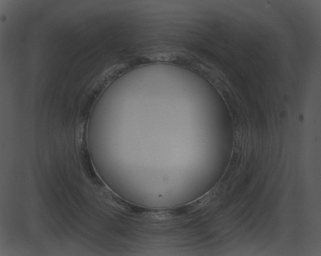 X0000081580652200701151002