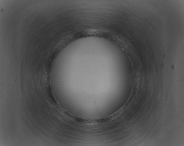 X0000081580653200701151002