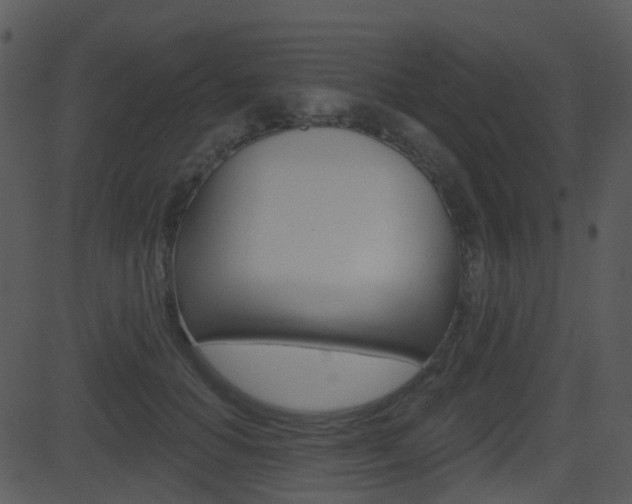 X0000081580654200701151002