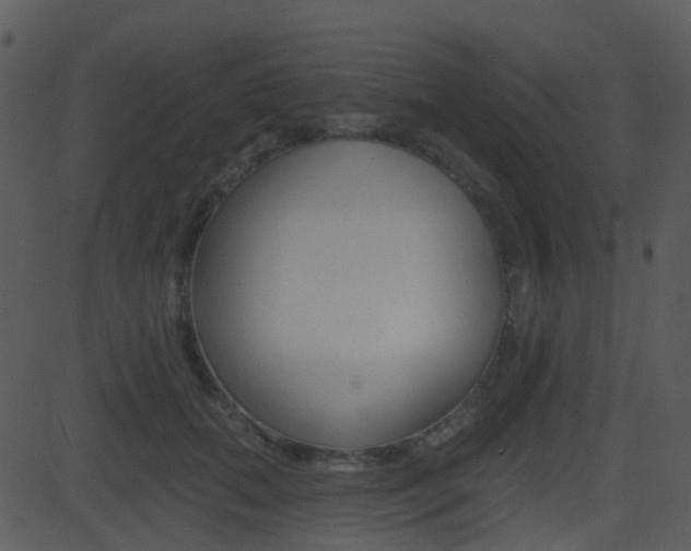 X0000081580655200701151002