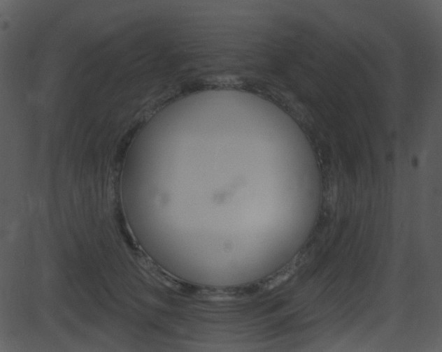 X0000081580658200701151002