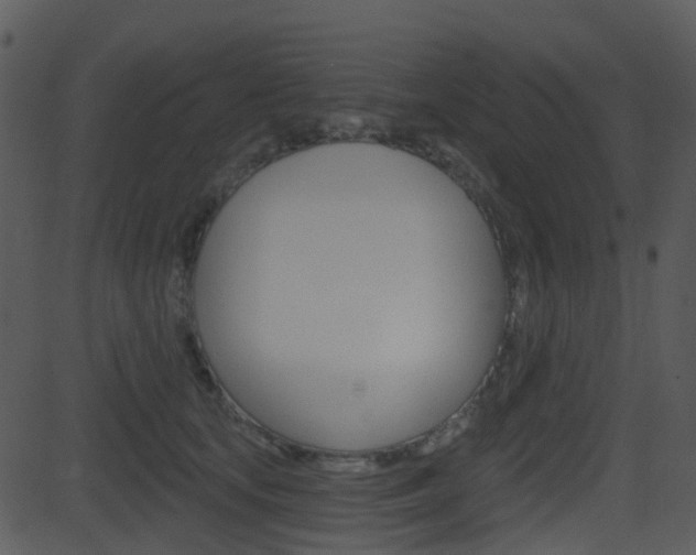 X0000081580659200701151002