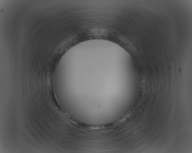 X0000081580662200701151002