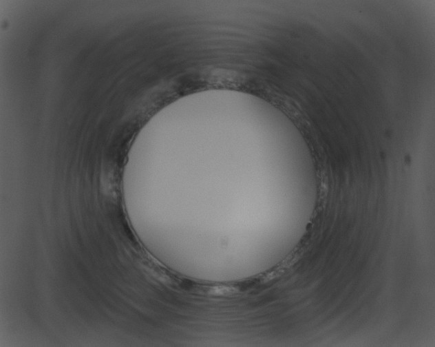 X0000081580663200701151002