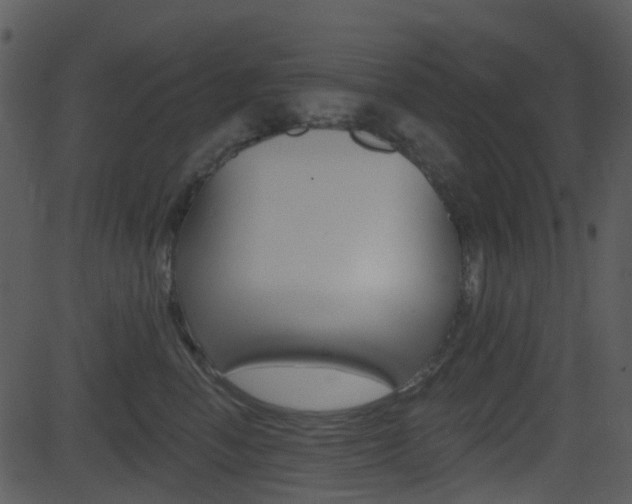 X0000081580666200701151002