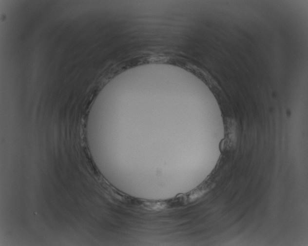 X0000081580667200701151002