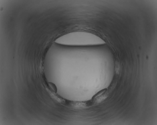 X0000081580670200701151002
